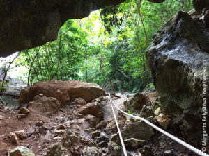 bua-bok-cave-ang-tong-tailand