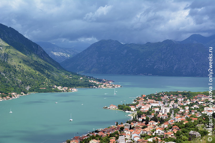 Которский залив черногория хайфа купить квартиру