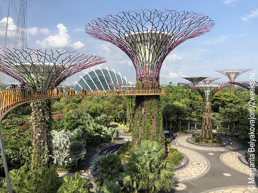 Gardens-by-the-Bay-singapoure