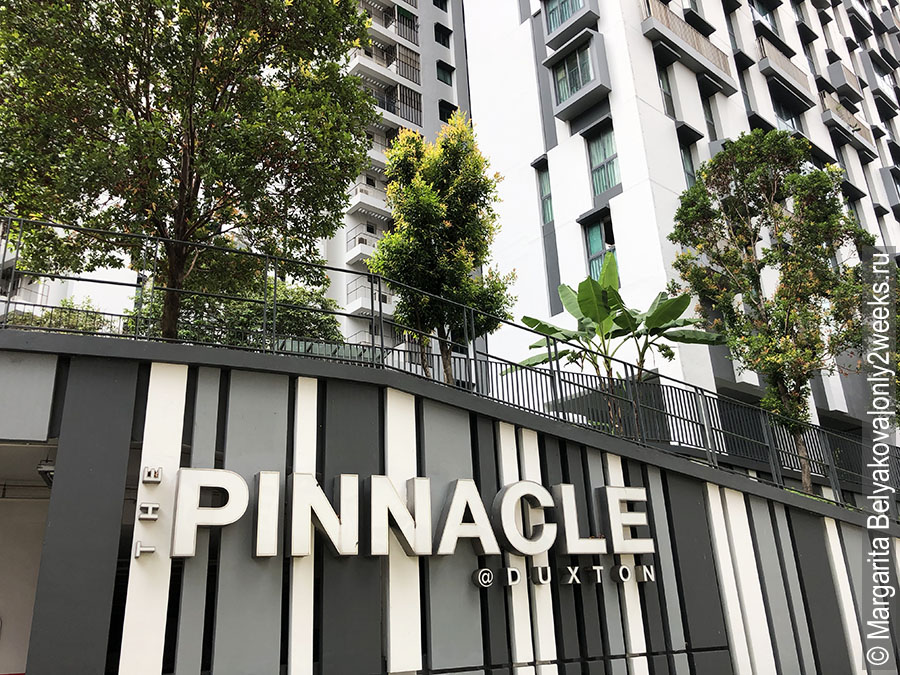 The-Pinnacle-Duxton-Singapore