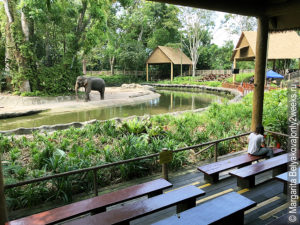 zoopark-v-singapure-otzyvy-turistov