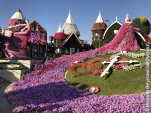 Floral-clock-dubai-miracle-garden