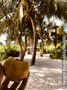 frukty-na-maldivakh-foto